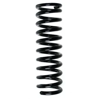 Ressort de suspension SPIDAN 55722
