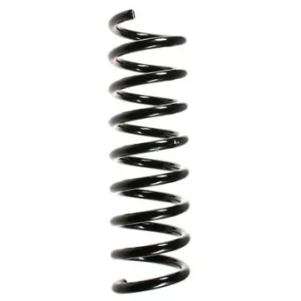 Ressort de suspension SPIDAN 55723