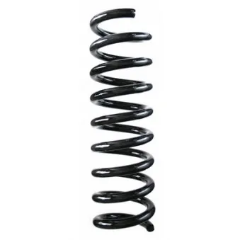 Ressort de suspension SPIDAN 55724
