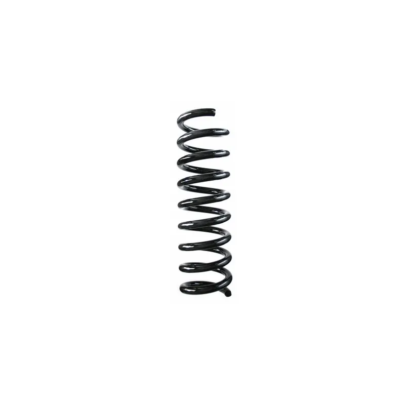 Ressort de suspension SPIDAN 55724