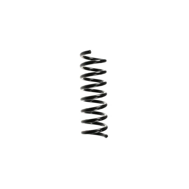 Ressort de suspension SPIDAN 55725