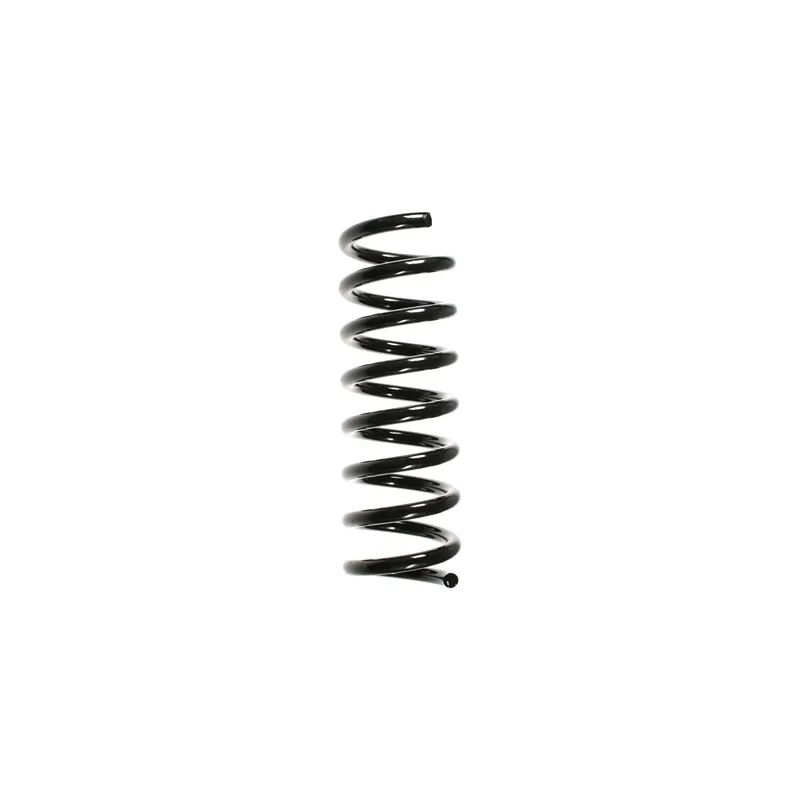 Ressort de suspension SPIDAN 55726
