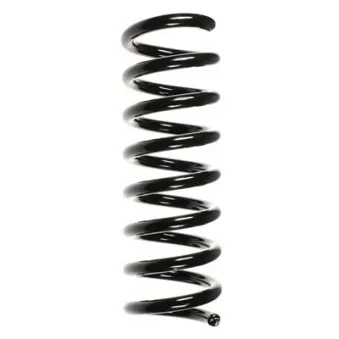 Ressort de suspension SPIDAN 55727
