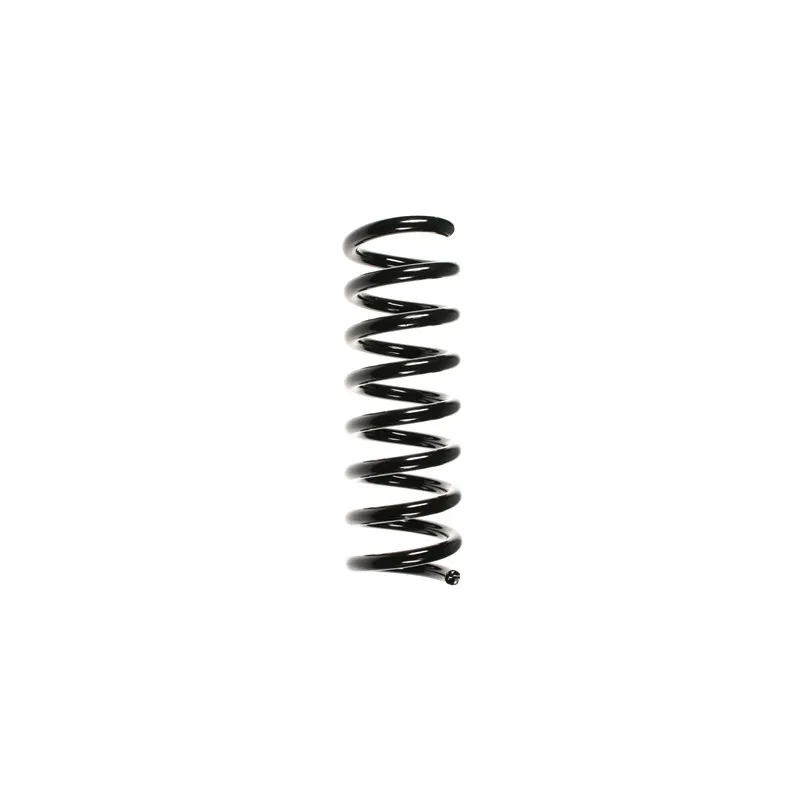 Ressort de suspension SPIDAN 55727