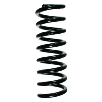 Ressort de suspension SPIDAN 55728