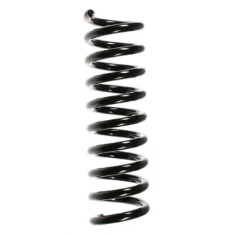 Ressort de suspension SPIDAN 55732
