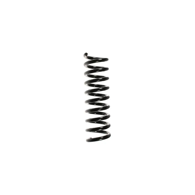 Ressort de suspension SPIDAN 55732