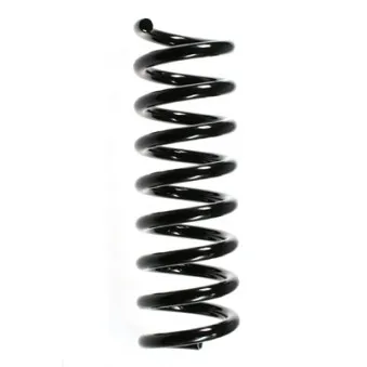 Ressort de suspension SPIDAN 55733