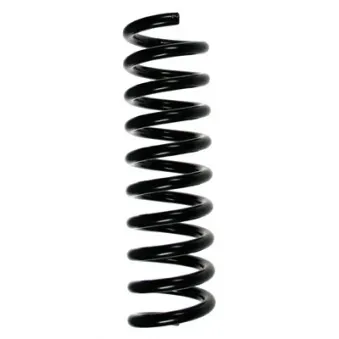 Ressort de suspension SPIDAN 55736