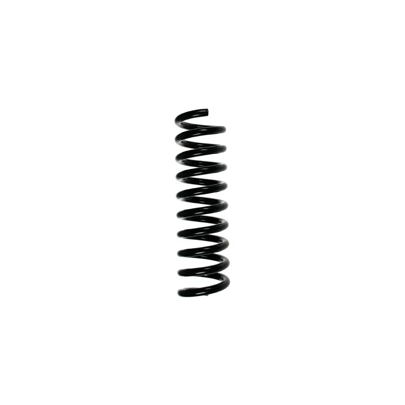 Ressort de suspension SPIDAN 55736