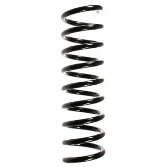 Ressort de suspension SPIDAN 55737