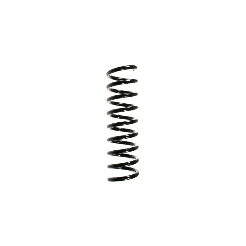 Ressort de suspension SPIDAN 55737