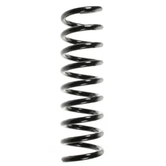 Ressort de suspension SPIDAN 55738
