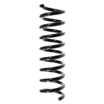 Ressort de suspension SPIDAN 55739