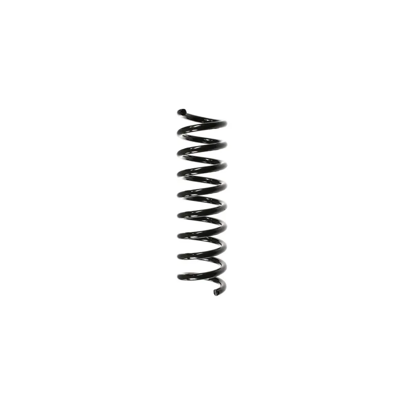 Ressort de suspension SPIDAN 55739