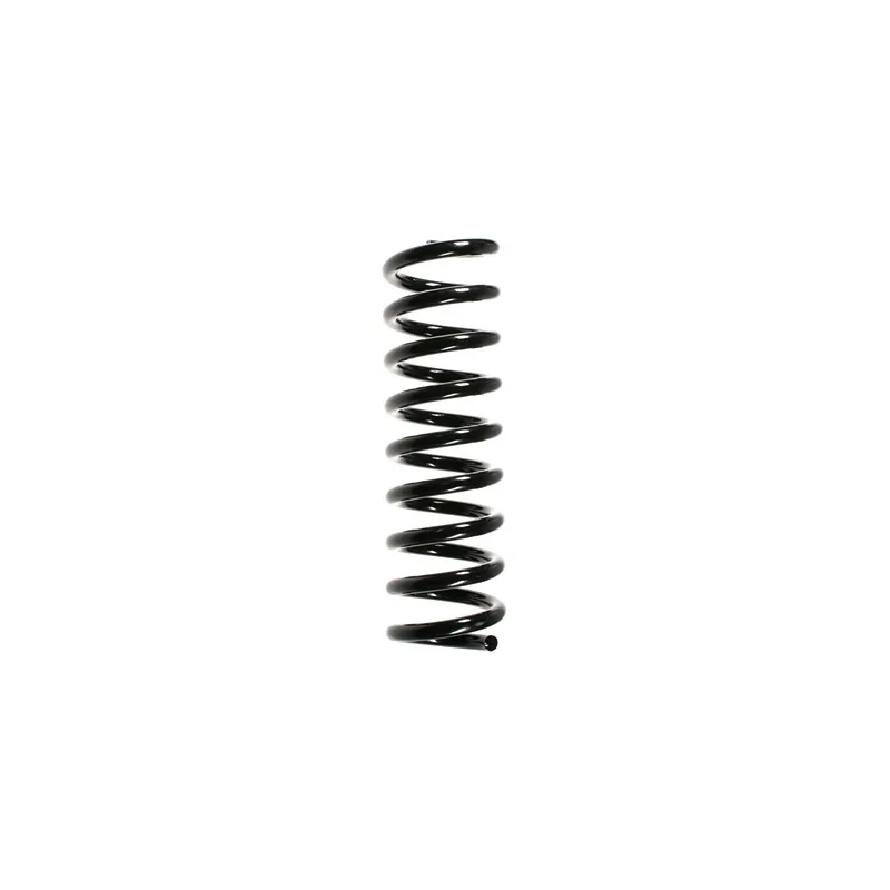 Ressort de suspension SPIDAN 55740