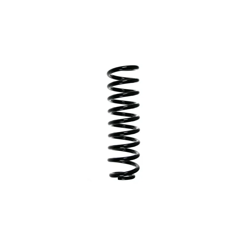 Ressort de suspension SPIDAN 55741