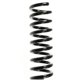 Ressort de suspension SPIDAN 55742
