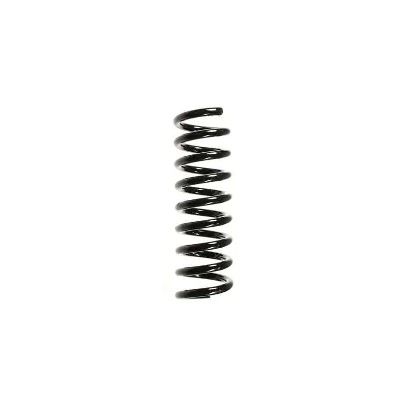 Ressort de suspension SPIDAN 55742