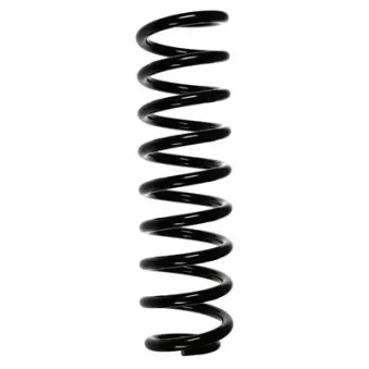 Ressort de suspension SPIDAN 55743