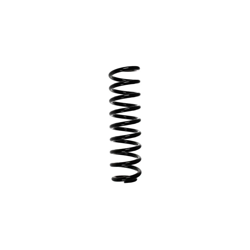 Ressort de suspension SPIDAN 55743