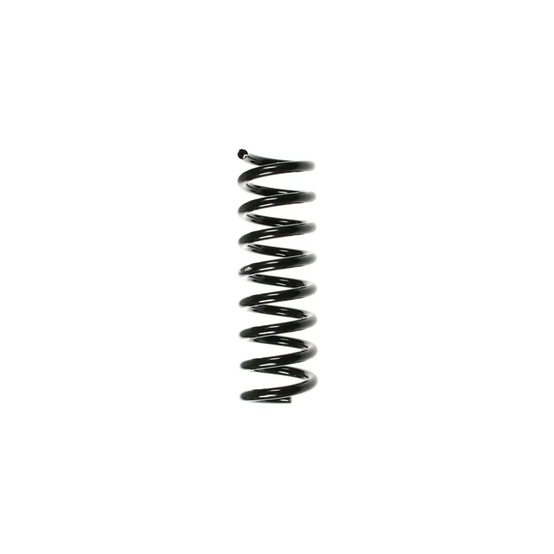 Ressort de suspension SPIDAN 55744