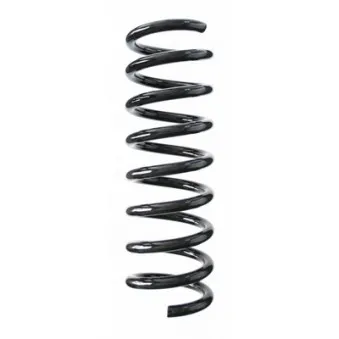 Ressort de suspension SPIDAN 55745