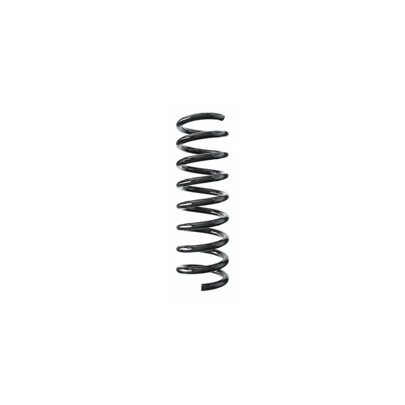 Ressort de suspension SPIDAN 55745