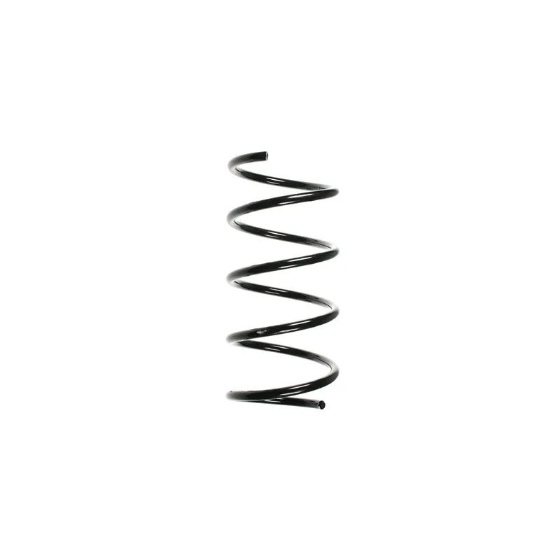 Ressort de suspension SPIDAN 55746