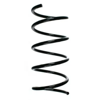 Ressort de suspension SPIDAN 55747