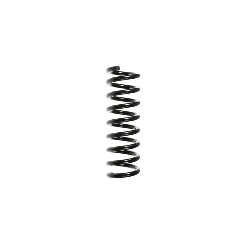 Ressort de suspension SPIDAN 55750