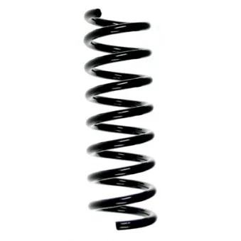 Ressort de suspension SPIDAN 55751