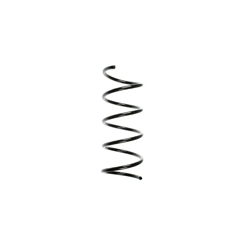 Ressort de suspension SPIDAN 55753