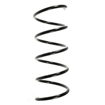 Ressort de suspension SPIDAN 55754