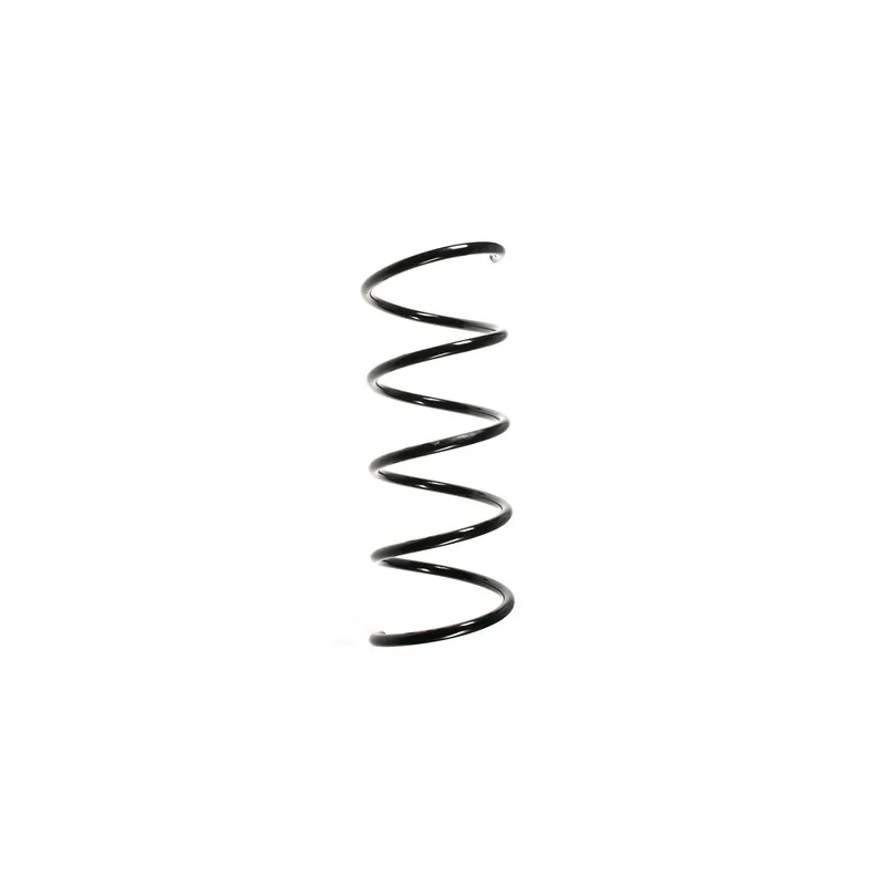 Ressort de suspension SPIDAN 55754