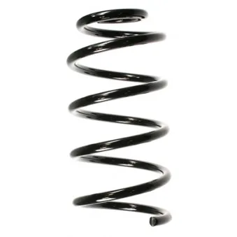 Ressort de suspension SPIDAN 55756