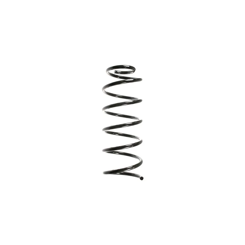 Ressort de suspension SPIDAN 55757