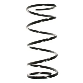Ressort de suspension SPIDAN 55761