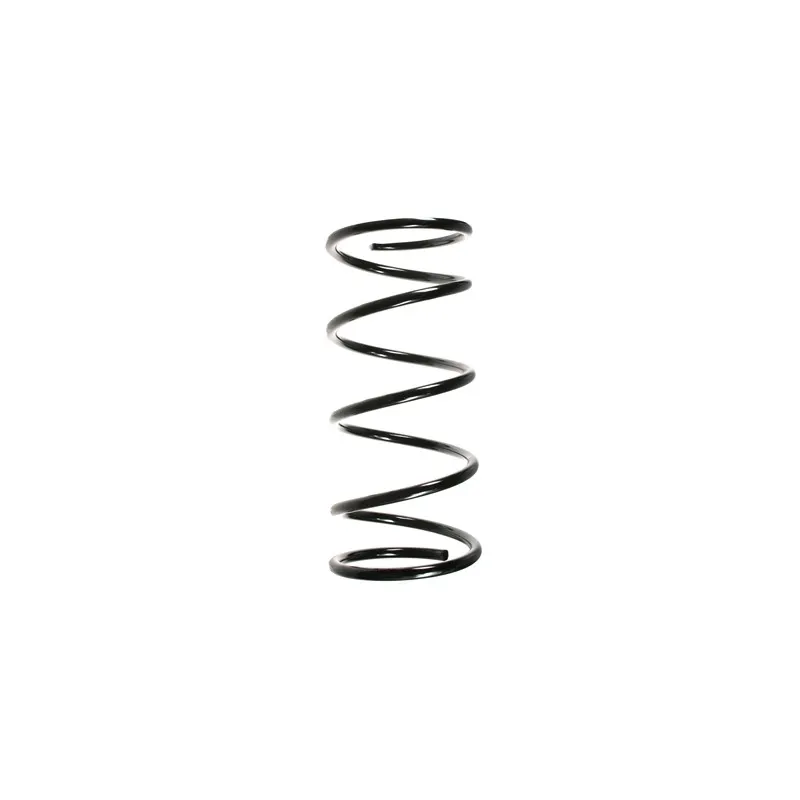 Ressort de suspension SPIDAN 55761
