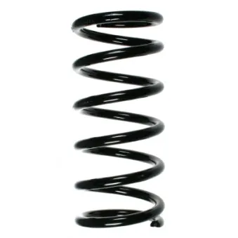 Ressort de suspension SPIDAN 55762
