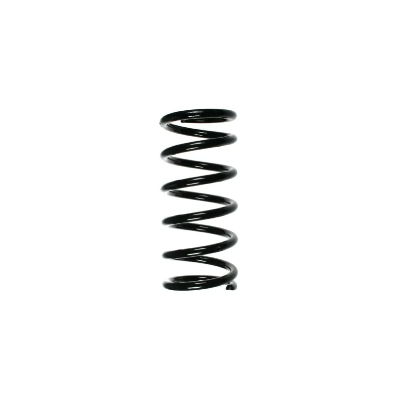 Ressort de suspension SPIDAN 55762