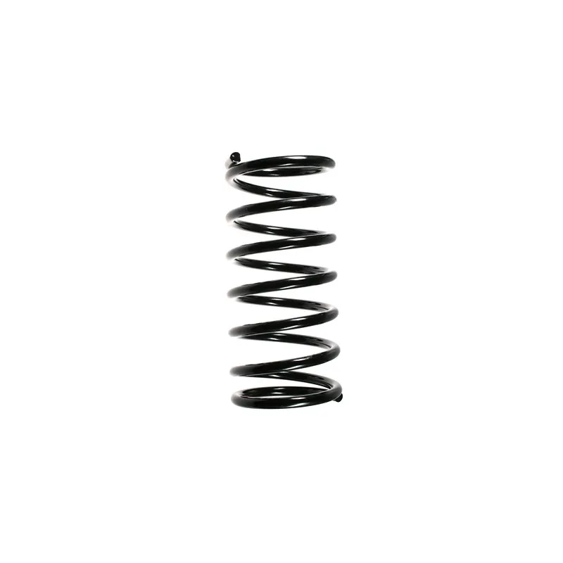 Ressort de suspension SPIDAN 55766