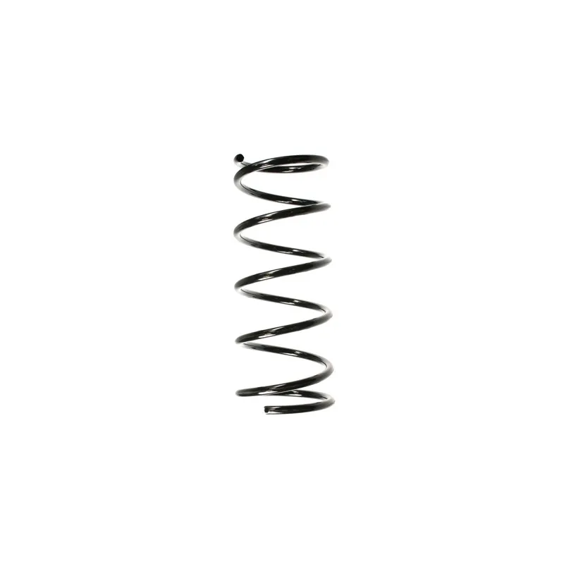 Ressort de suspension SPIDAN 55773