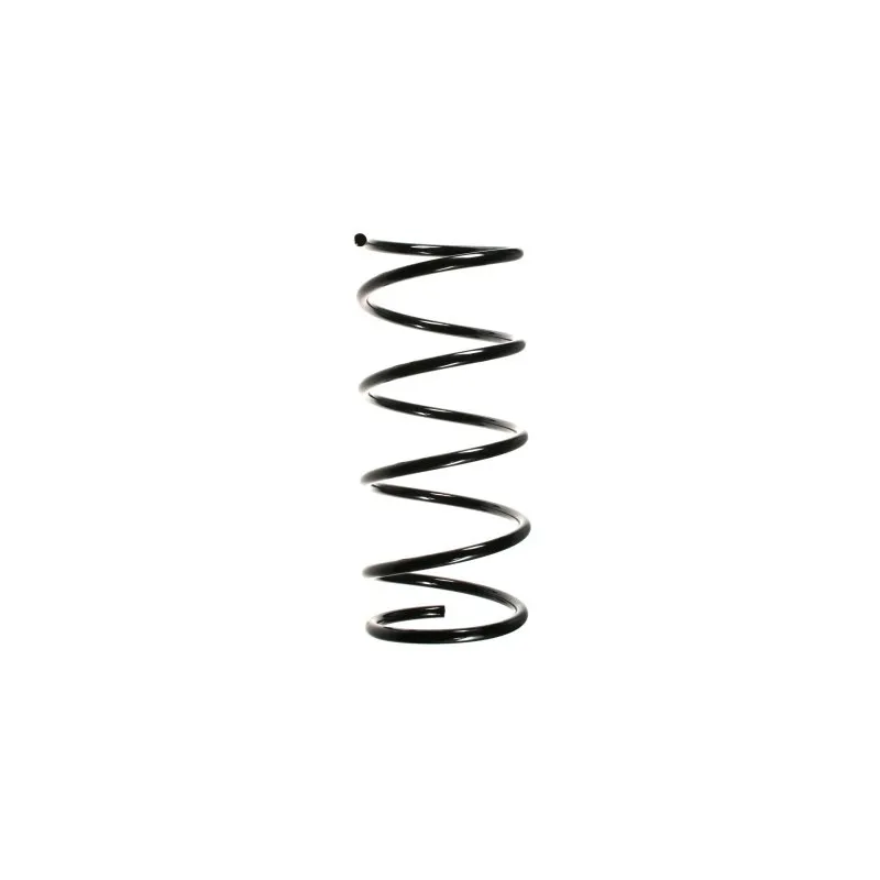 Ressort de suspension SPIDAN 55774
