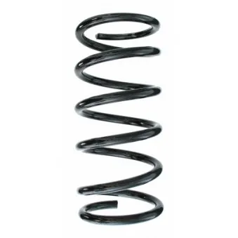 Ressort de suspension SPIDAN 55775