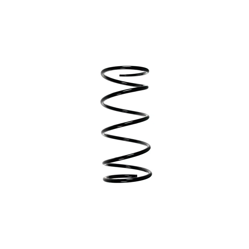Ressort de suspension SPIDAN 55776