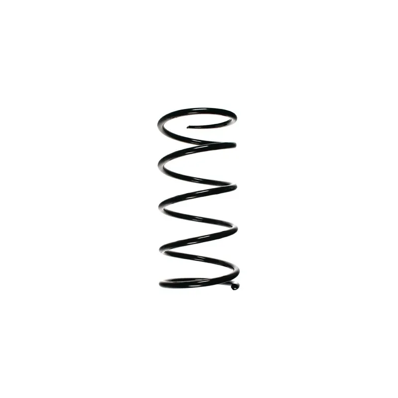 Ressort de suspension SPIDAN 55783