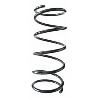 Ressort de suspension SPIDAN 55786