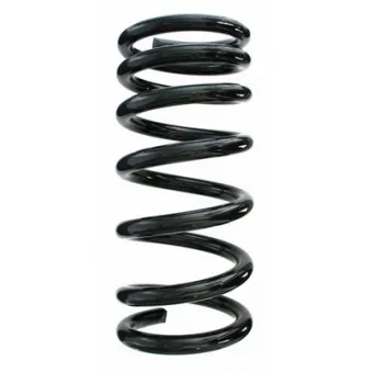 Ressort de suspension SPIDAN 55787