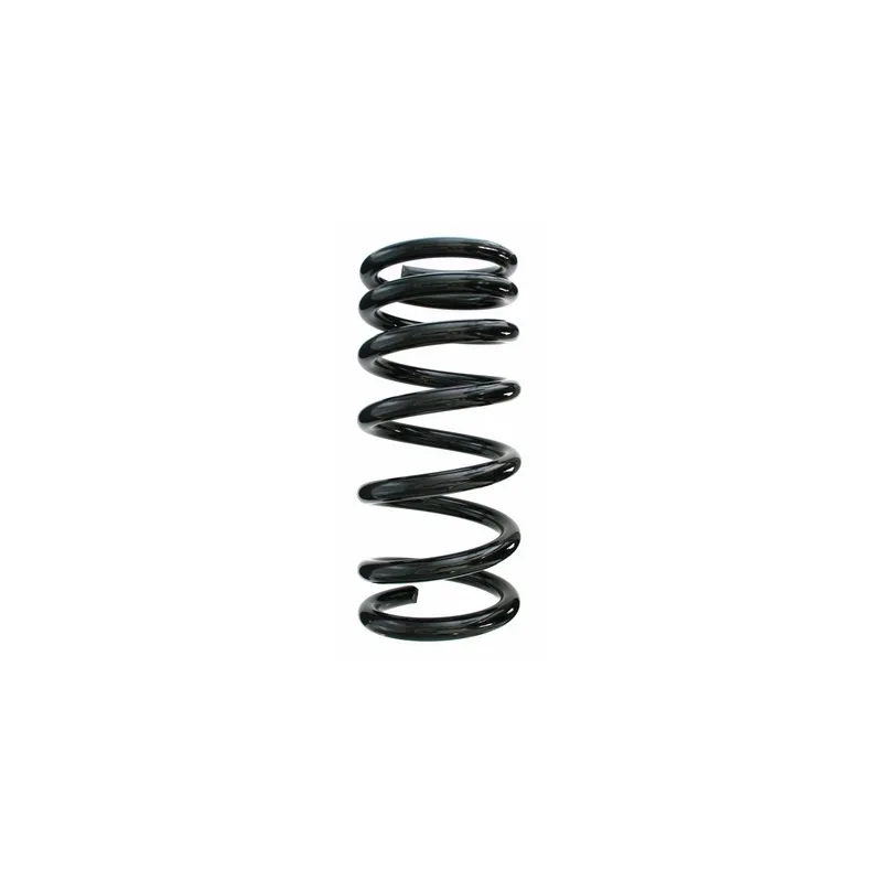 Ressort de suspension SPIDAN 55787